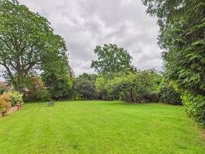 Photo 11- click for photo gallery